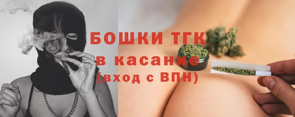 винт Богданович